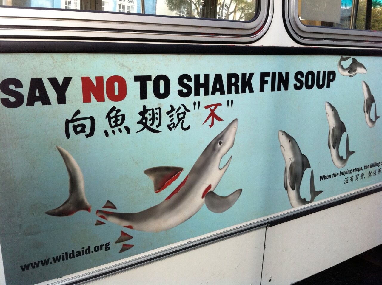 Shark Finning Prohibition Act of 2000